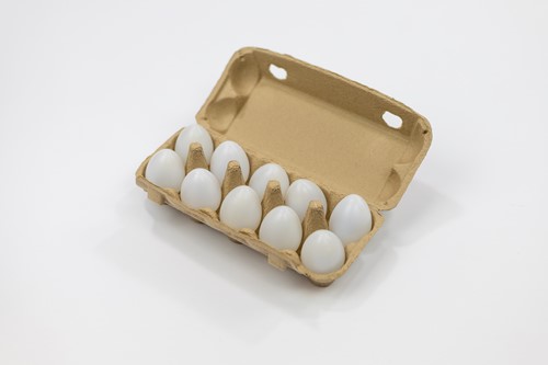 Rekeneieren 10 stuks in set van 2 dozen